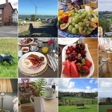 School Farm Bed & Breakfast Blagdon Exterior photo