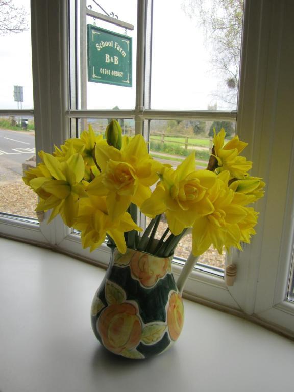 School Farm Bed & Breakfast Blagdon Exterior photo